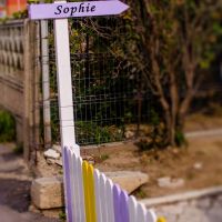 Sophie_Patiserie_5.jpg